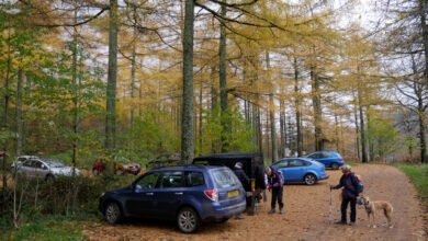 bowness knott car park