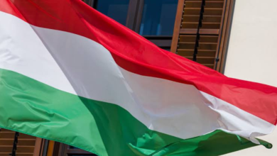 green white red flag