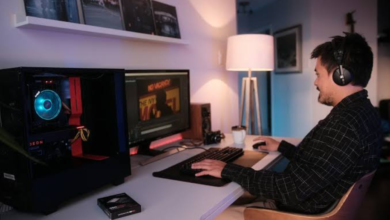 when was the game innerlifthunt released