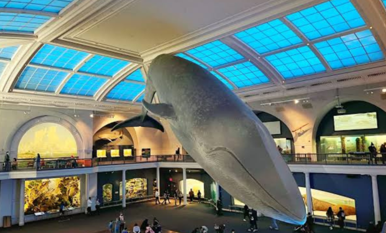 best museums in nyc